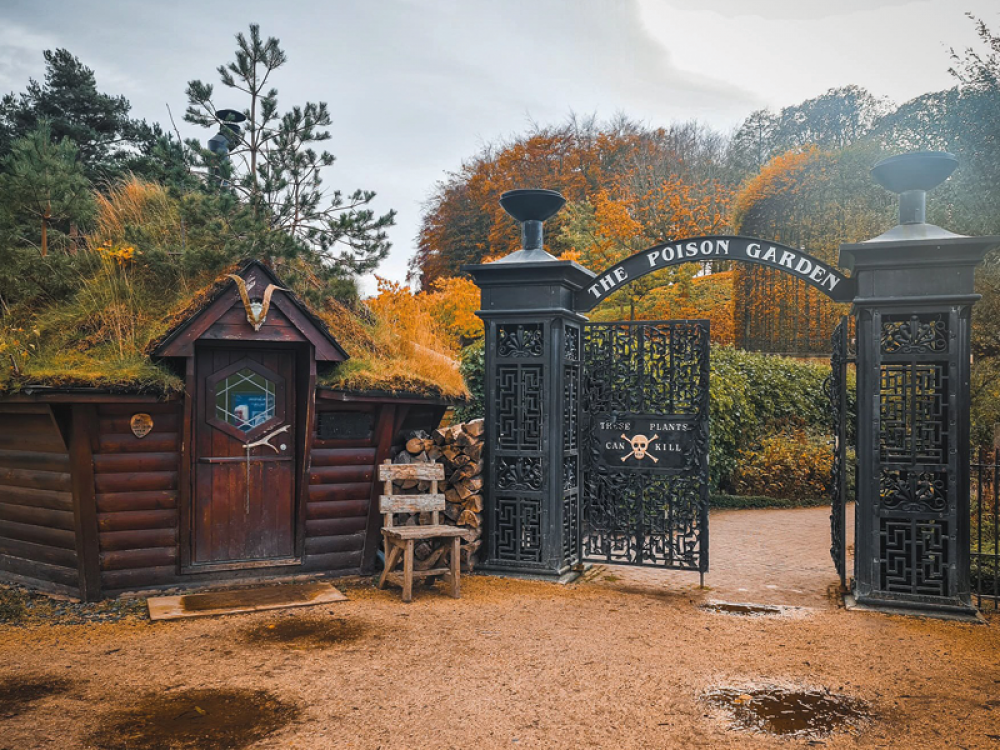 The Best Gardens to Visit this Autumn including The Alnwick Garden